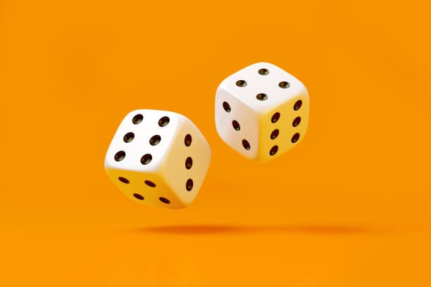 বিঙ্গো অ্যাডভেঞ্চার গেম